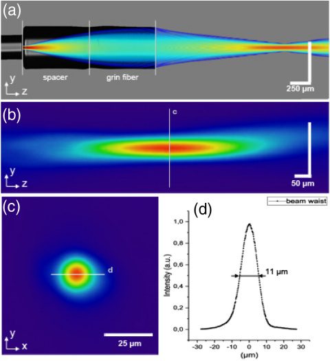 (a) All-fiber-based focusing optics, overlaid with simulated beam intensity. (b) Measured beam profile in the focus along the z-axis, (c) measured lateral beam profile (x,y) in the focus, and (d) the measured lateral beam profile across the line in.