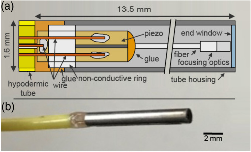 (a) Schematic drawing of the piezo fiber scanning probe (not to scale). (b) Image of the fiber scanning endoscope (FSE).